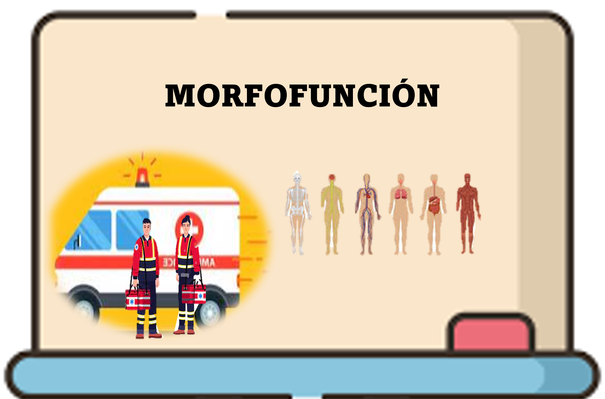 APH2023_MOR-MORFOFUNCIÓN